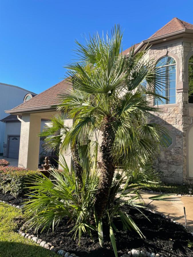Luxuria Mini-Mansion Near Houston Downtown Exterior foto